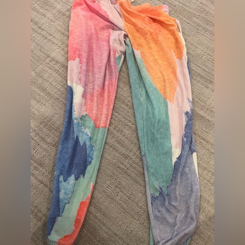 Pj salvage art class sweats